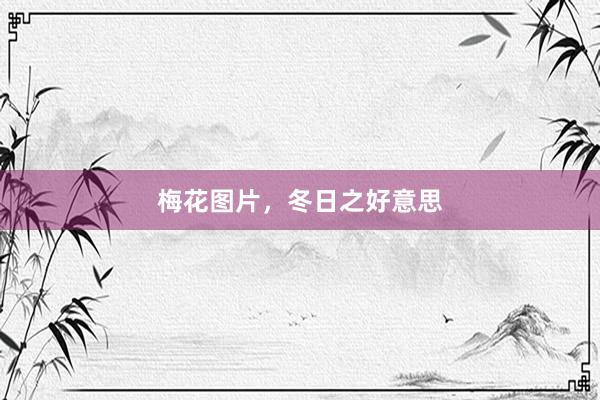 梅花图片，冬日之好意思