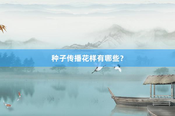 种子传播花样有哪些？