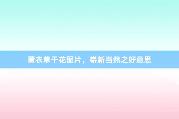 薰衣草干花图片，崭新当然之好意思
