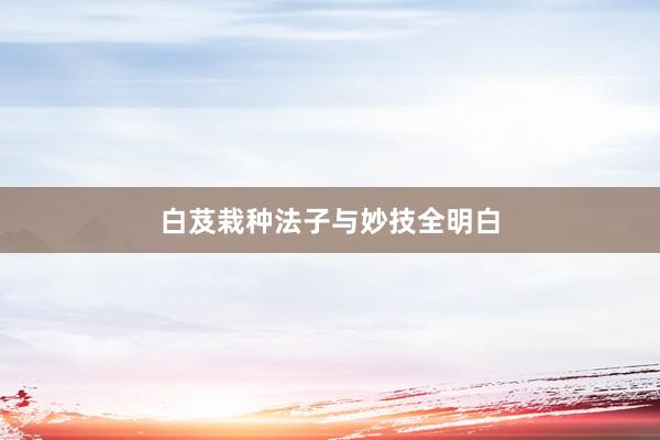 白芨栽种法子与妙技全明白