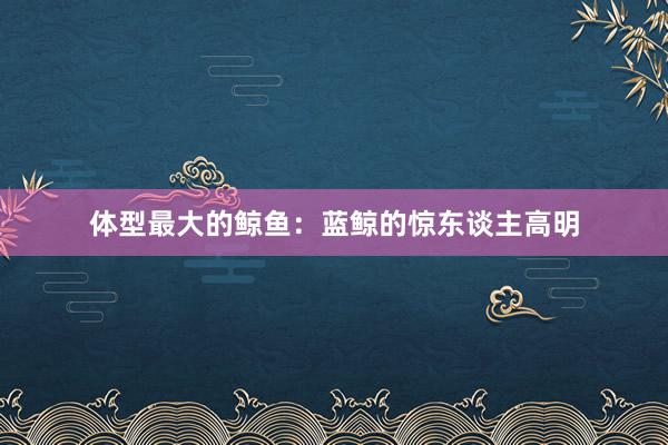 体型最大的鲸鱼：蓝鲸的惊东谈主高明