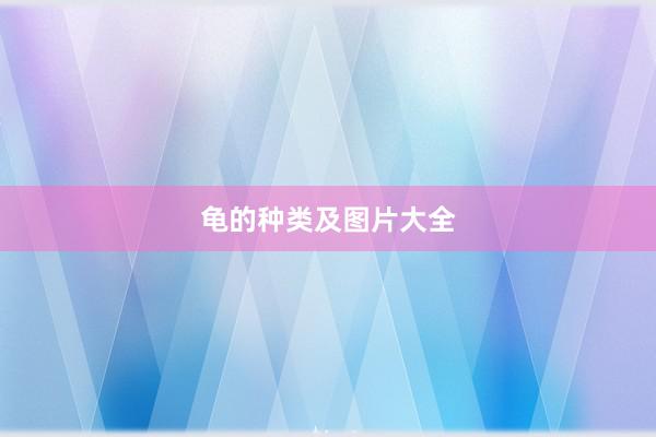 龟的种类及图片大全